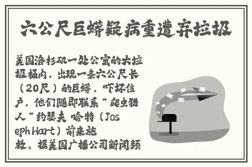 啦啦啦资源视频在线观看8